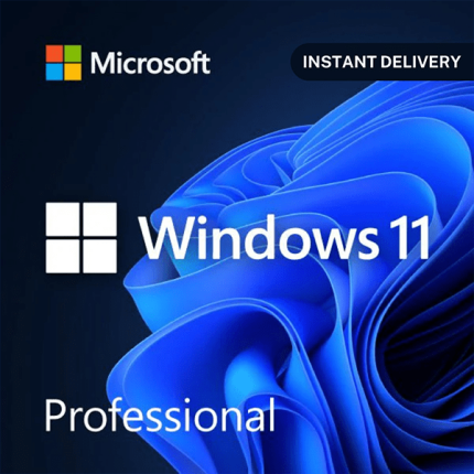 Windows 11 Professional Lifetime Activation key